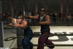 Def Jam Vendetta (GameCube)