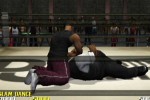 Def Jam Vendetta (GameCube)