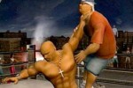 Def Jam Vendetta (GameCube)