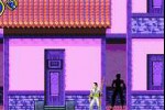 Bruce Lee: Return of the Legend (Game Boy Advance)