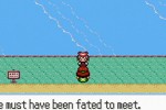 Pokemon Ruby Version (Game Boy Advance)