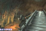 Tenchu: Wrath of Heaven (PlayStation 2)