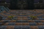 Yu-Gi-Oh! The Duelists of the Roses (PlayStation 2)