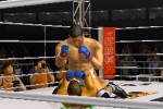 Pride FC (PlayStation 2)