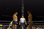 Pride FC (PlayStation 2)