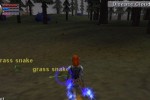 EverQuest Online Adventures (PlayStation 2)