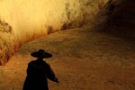 The Shadow of Zorro (PC)