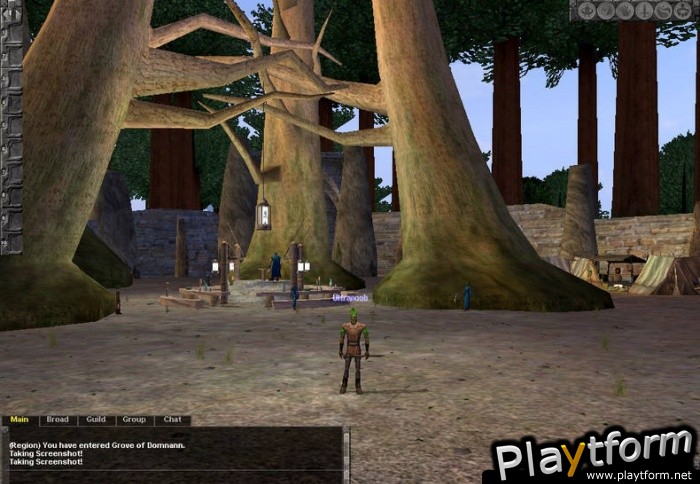 Dark Age of Camelot: Shrouded Isles (PC)