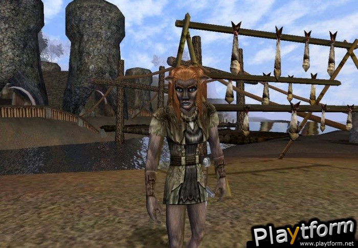 Dark Age of Camelot: Shrouded Isles (PC)