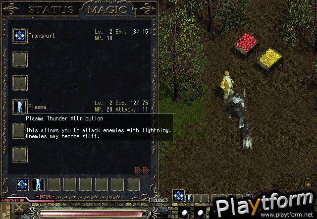 ShadowFlare (PC)