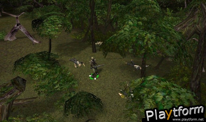 Platoon: The 1st Airborne Cavalry Division in Vietnam (PC)