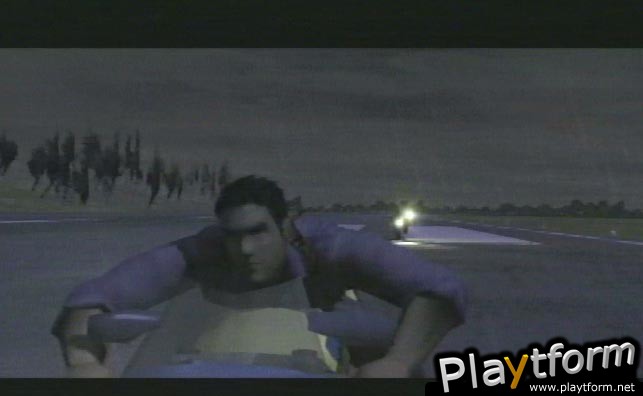 Dead to Rights (PlayStation 2)