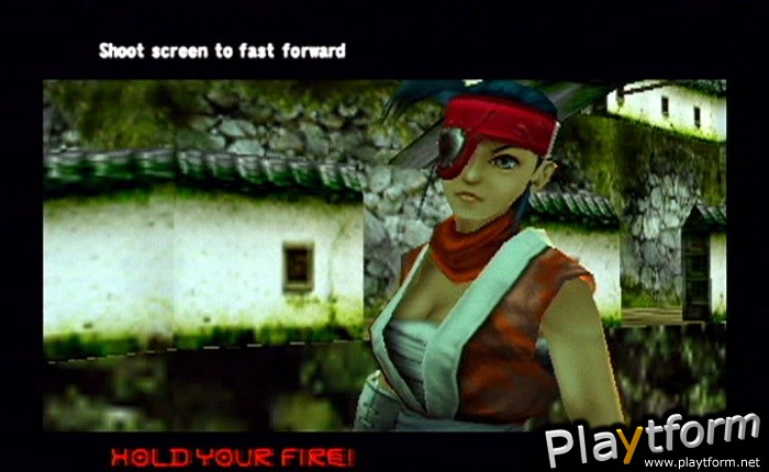 Ninja Assault (PlayStation 2)