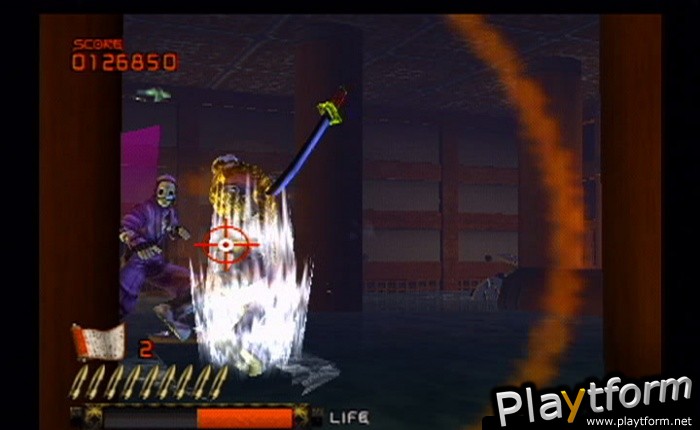 Ninja Assault (PlayStation 2)