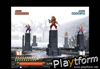 Ninja Assault (PlayStation 2)