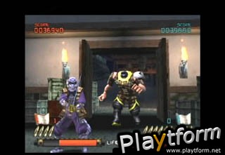 Ninja Assault (PlayStation 2)