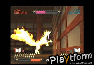 Ninja Assault (PlayStation 2)