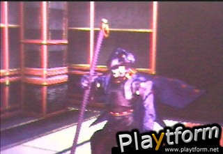 Ninja Assault (PlayStation 2)