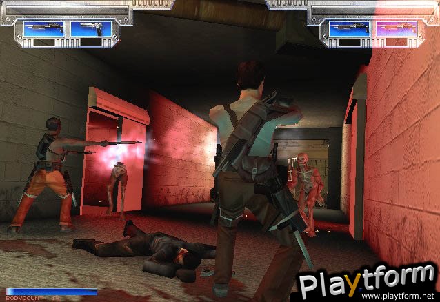 Twin Caliber (PlayStation 2)