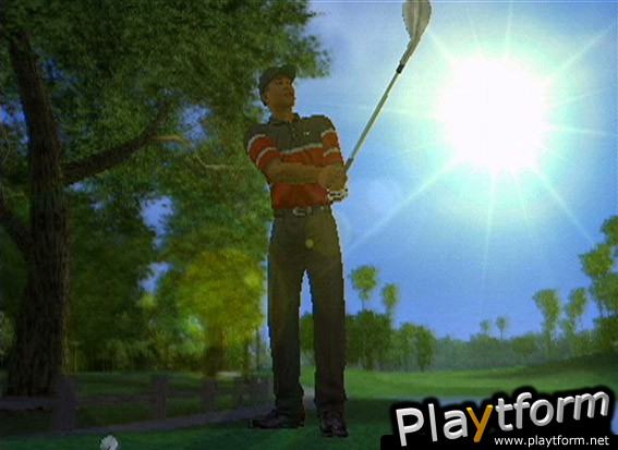 Tiger Woods PGA Tour 2003 (PlayStation 2)