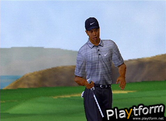 Tiger Woods PGA Tour 2003 (PlayStation 2)