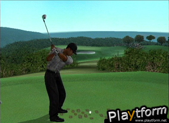 Tiger Woods PGA Tour 2003 (GameCube)