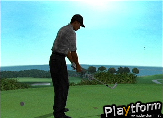 Tiger Woods PGA Tour 2003 (GameCube)