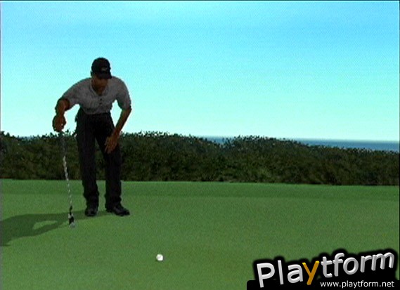 Tiger Woods PGA Tour 2003 (GameCube)