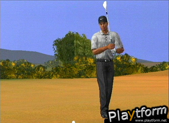 Tiger Woods PGA Tour 2003 (GameCube)