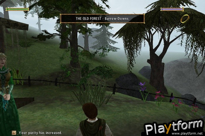 The Lord of the Rings: The Fellowship of the Ring (PC)
