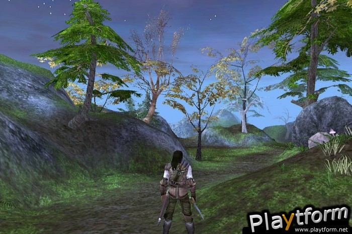 The Lord of the Rings: The Fellowship of the Ring (PC)