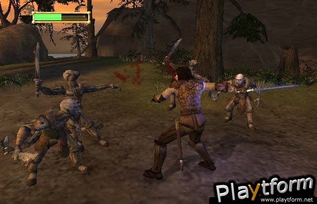 The Lord of the Rings: The Fellowship of the Ring (PC)
