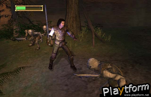 The Lord of the Rings: The Fellowship of the Ring (PC)