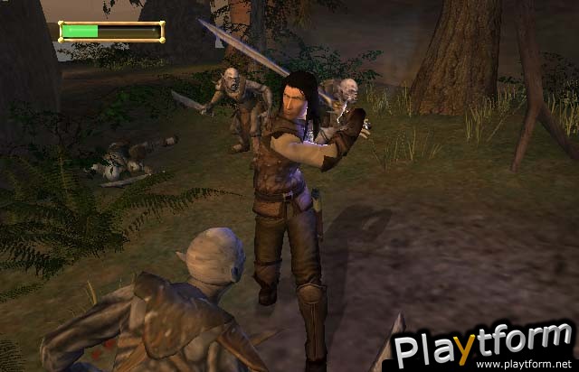 The Lord of the Rings: The Fellowship of the Ring (PC)