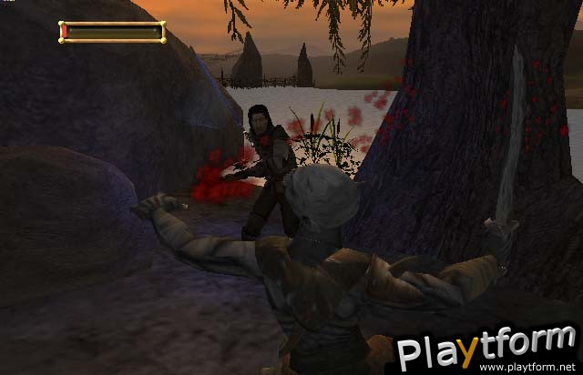 The Lord of the Rings: The Fellowship of the Ring (PC)