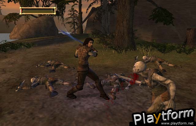 The Lord of the Rings: The Fellowship of the Ring (PC)