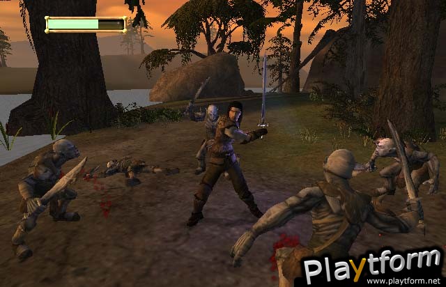 The Lord of the Rings: The Fellowship of the Ring (PC)