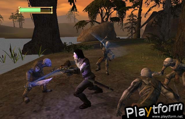 The Lord of the Rings: The Fellowship of the Ring (PC)