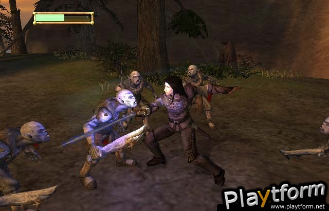 The Lord of the Rings: The Fellowship of the Ring (PC)