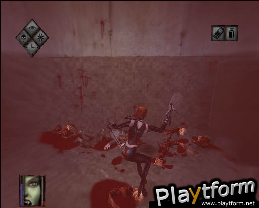 BloodRayne (PlayStation 2)