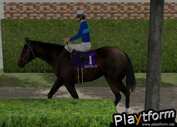 Jockey's Road (Xbox)