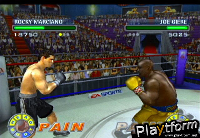 Knockout Kings 2003 (GameCube)