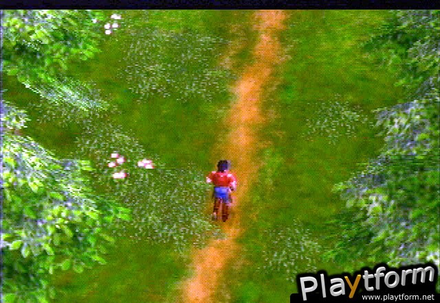 Legaia 2: Duel Saga (PlayStation 2)