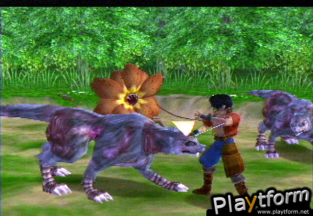 Legaia 2: Duel Saga (PlayStation 2)