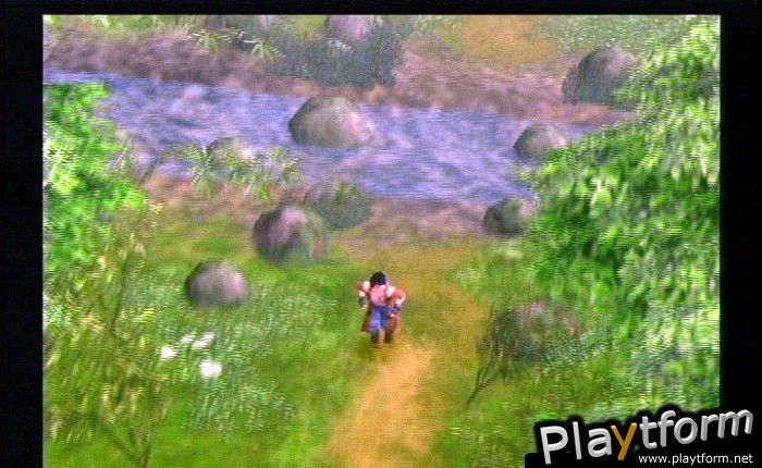 Legaia 2: Duel Saga (PlayStation 2)