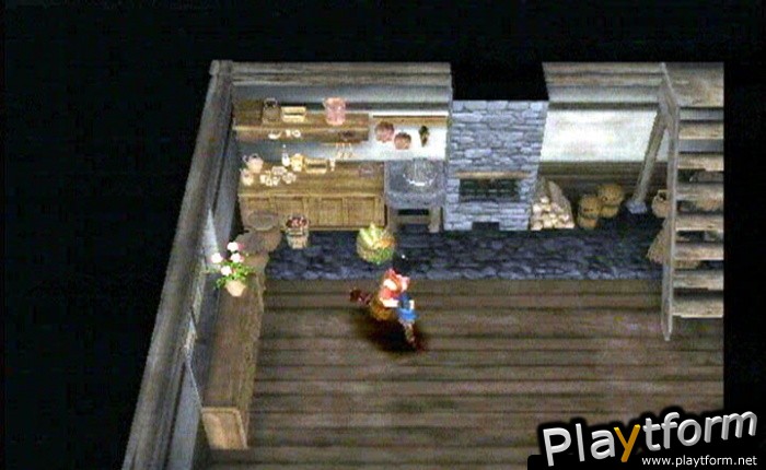 Legaia 2: Duel Saga (PlayStation 2)