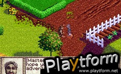 The Lord of the Rings: The Fellowship of the Ring (Game Boy Advance)