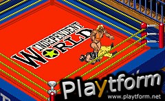 Fire Pro Wrestling 2 (Game Boy Advance)