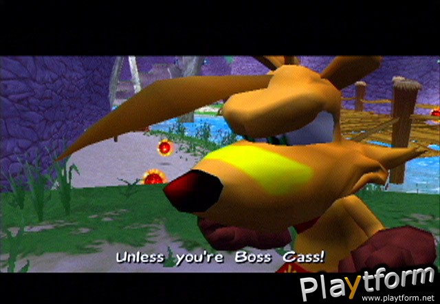Ty the Tasmanian Tiger (PlayStation 2)