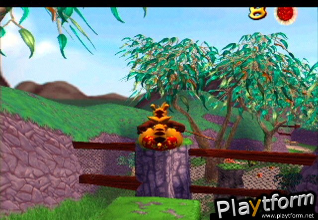 Ty the Tasmanian Tiger (PlayStation 2)